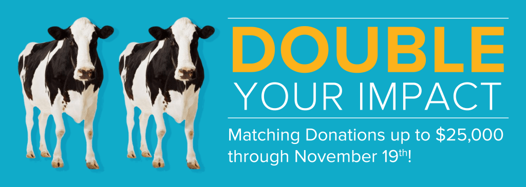 DOUBLE Your Donation! We Have an End of Year Match!