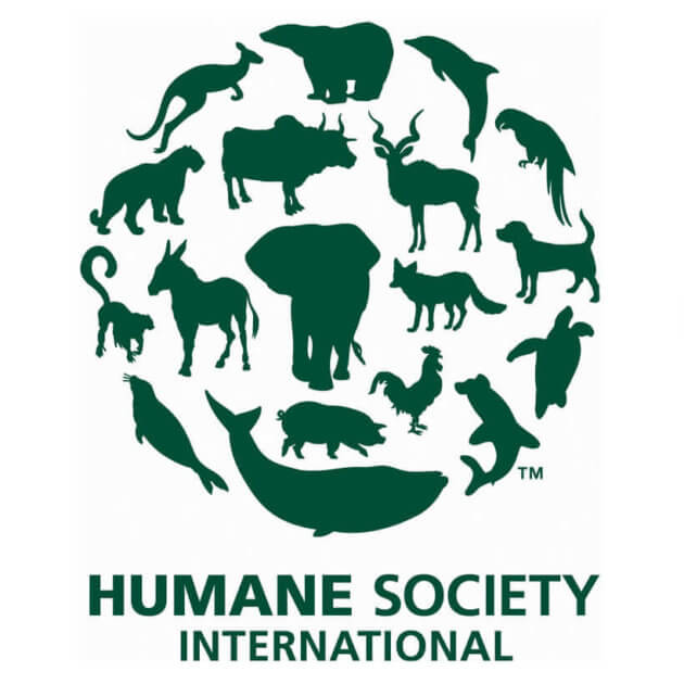 Humane Society International Review Animal Charity Evaluators