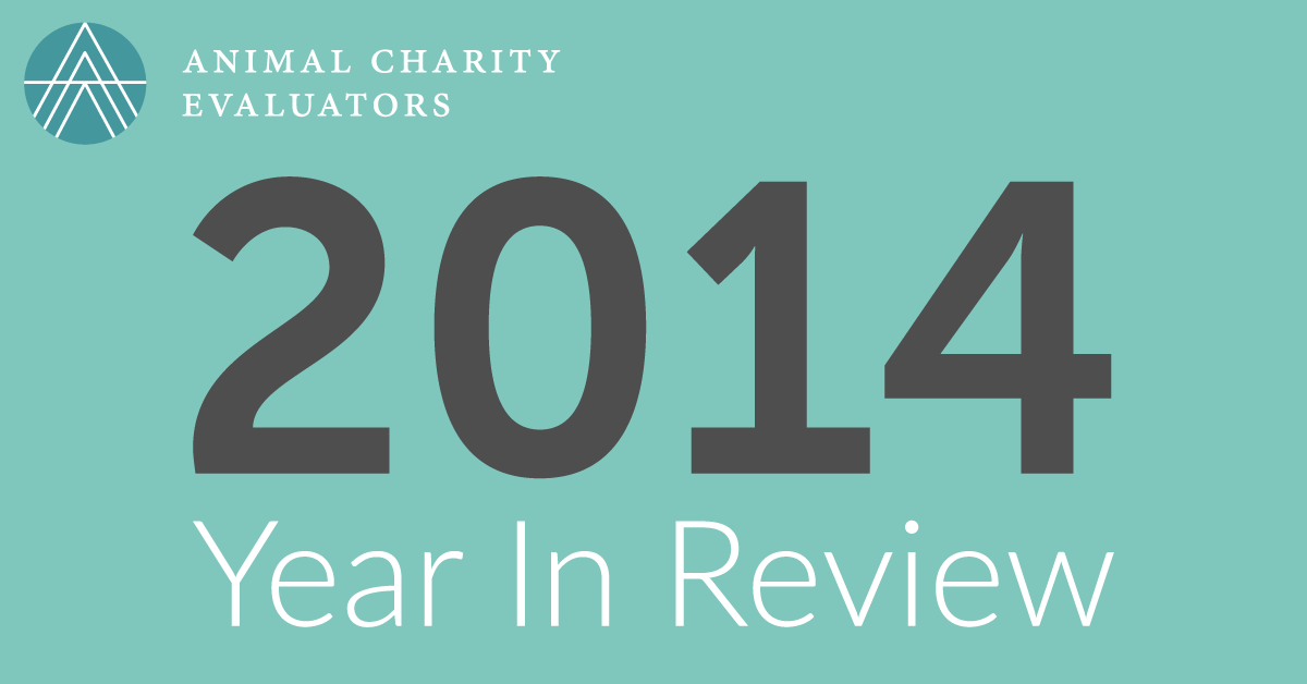 2014 Year in Review