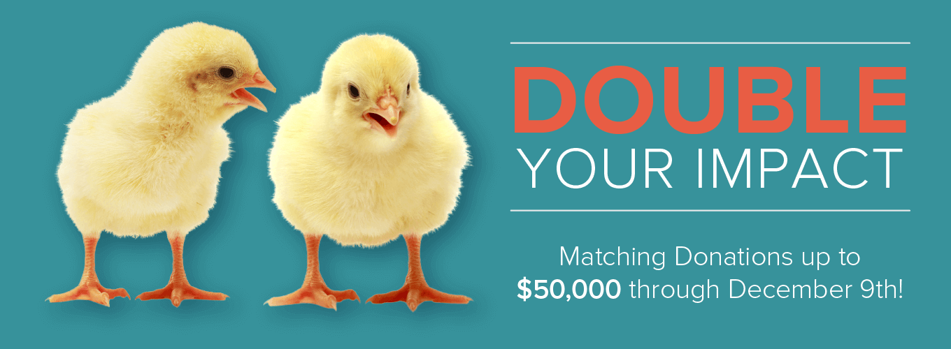 Double Your Impact - Matching Donations up to $50,000