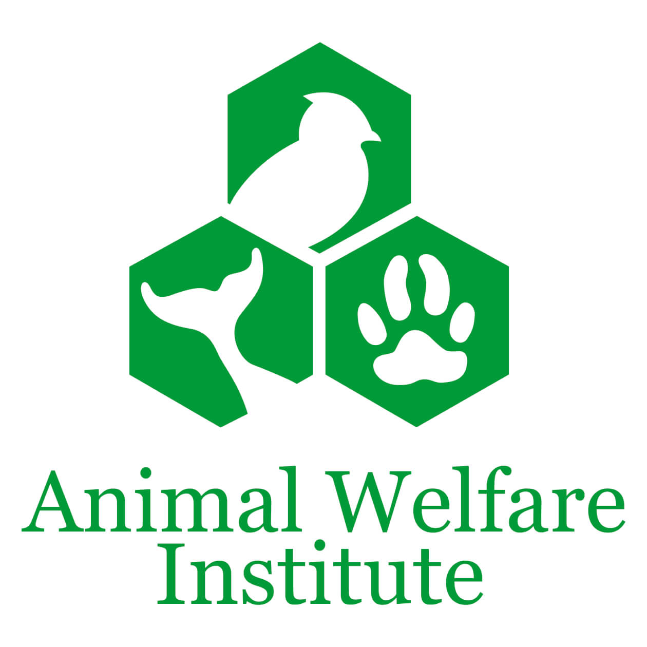Animal Welfare Institute AWI Review Animal Charity Evaluators
