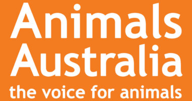 Animals Australia logo