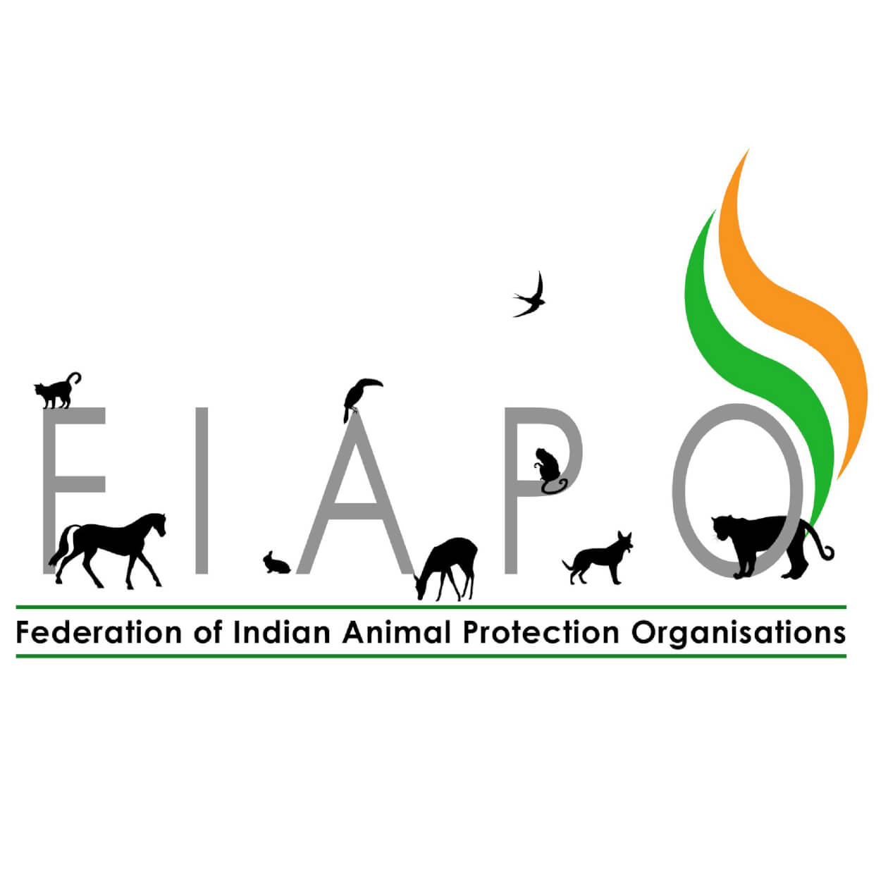 The Federation Of Indian Animal Protection Organizations Review Animal Charity Evaluators Its aim is to rescue, treat, and. indian animal protection organizations
