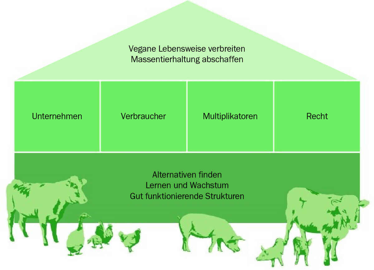 Infographic of ASF's strategy