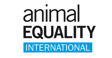 Animal Equality International