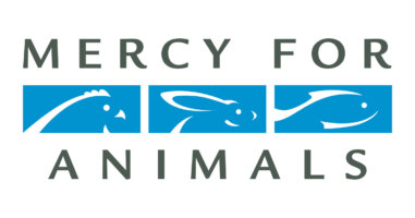 Mercy For Animals logo