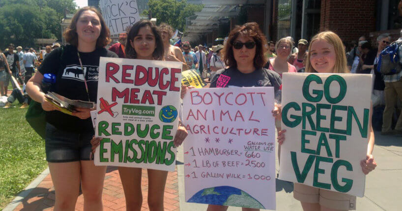 Four women holding animal advocacy protest signs at the 2016 DNC