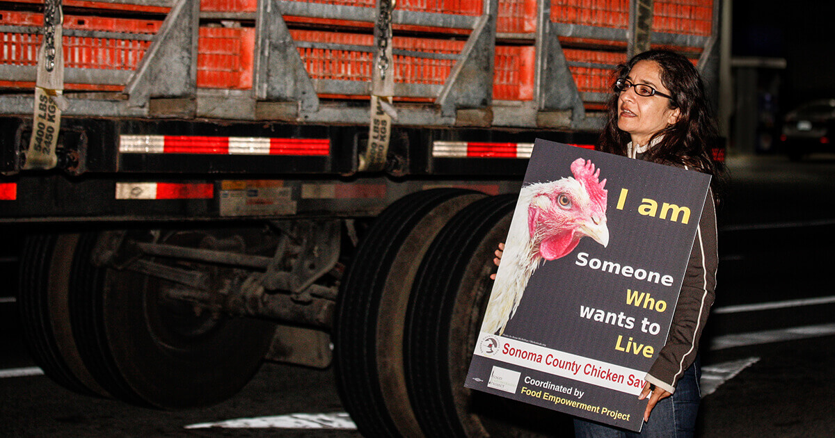 lauren Ornelas holding a poster that has a photo of a chicken and the phrase 'I am someone who wants to live' while at the Sonoma County Chicken Save event coordinated by Food Empowerment Project."