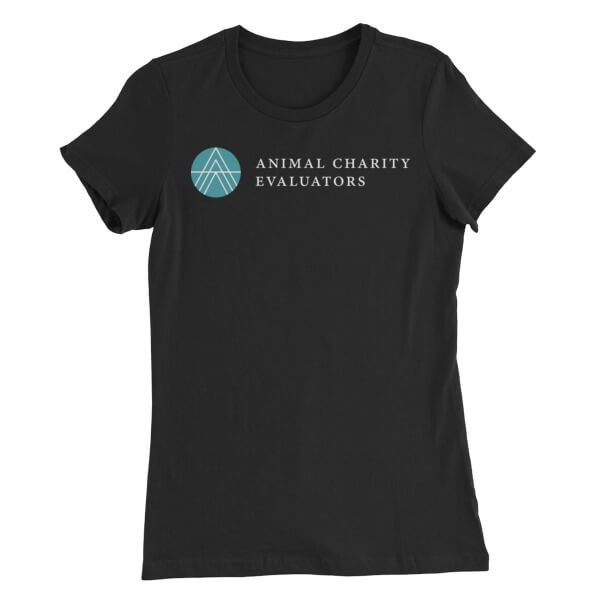 Front of t-shirt with ACE logo printed