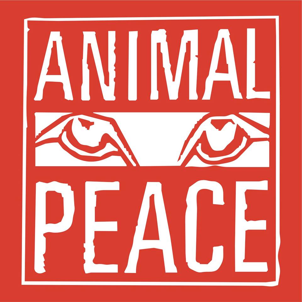 Animal Peace e.V. Review | Animal Charity Evaluators