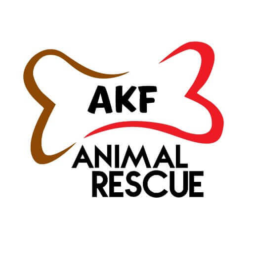 Animal Kingdom Foundation Review Animal Charity Evaluators
