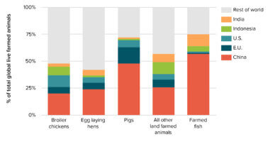 Graph showing scale of animal agriculture in China