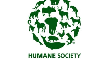 Humane Society International