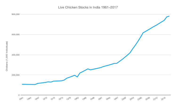 Live Chicken Stocks in India