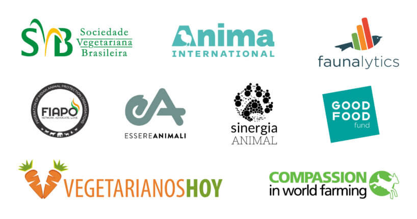 Announcing our 2020 Charity Recommendations - Animal Charity Evaluators
