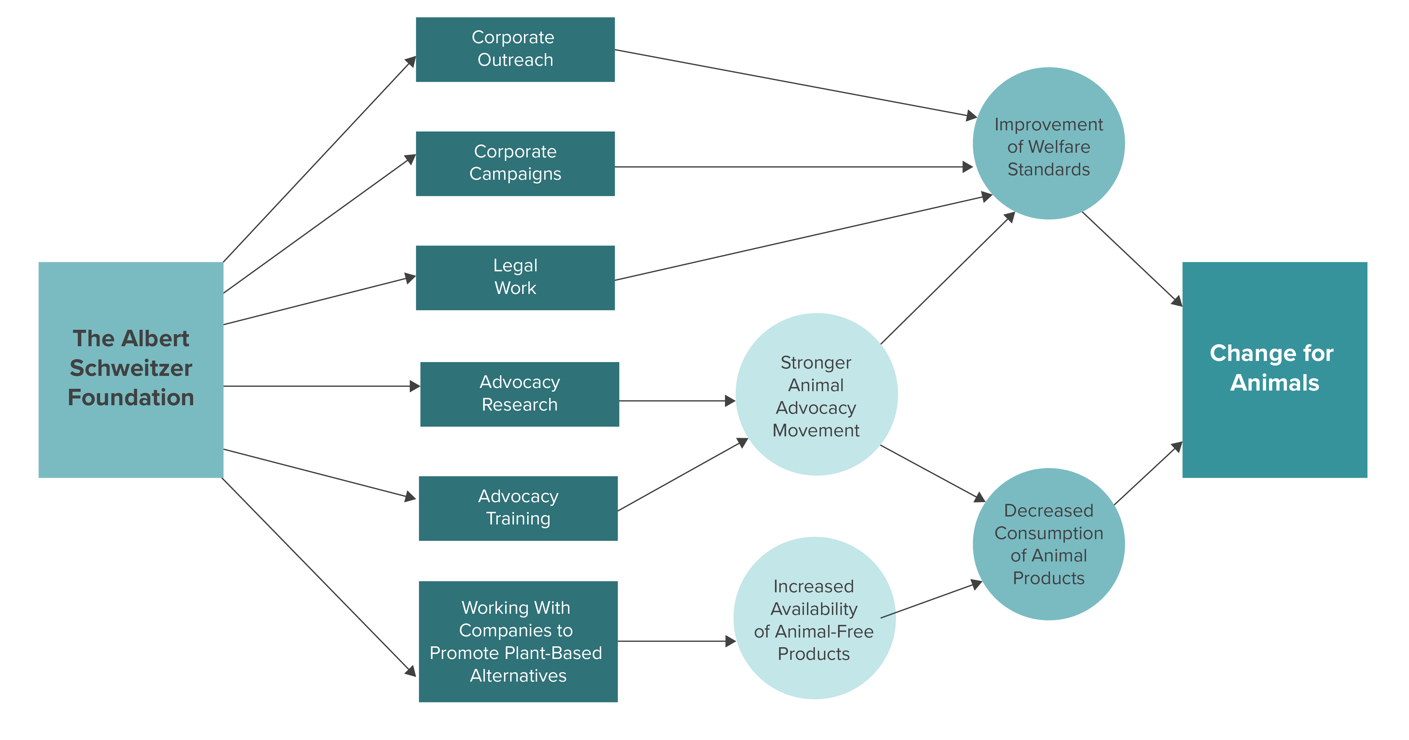 Albert Schweitzer Foundation Theory of Change