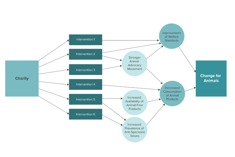 Theories of Change - Animal Charity Evaluators