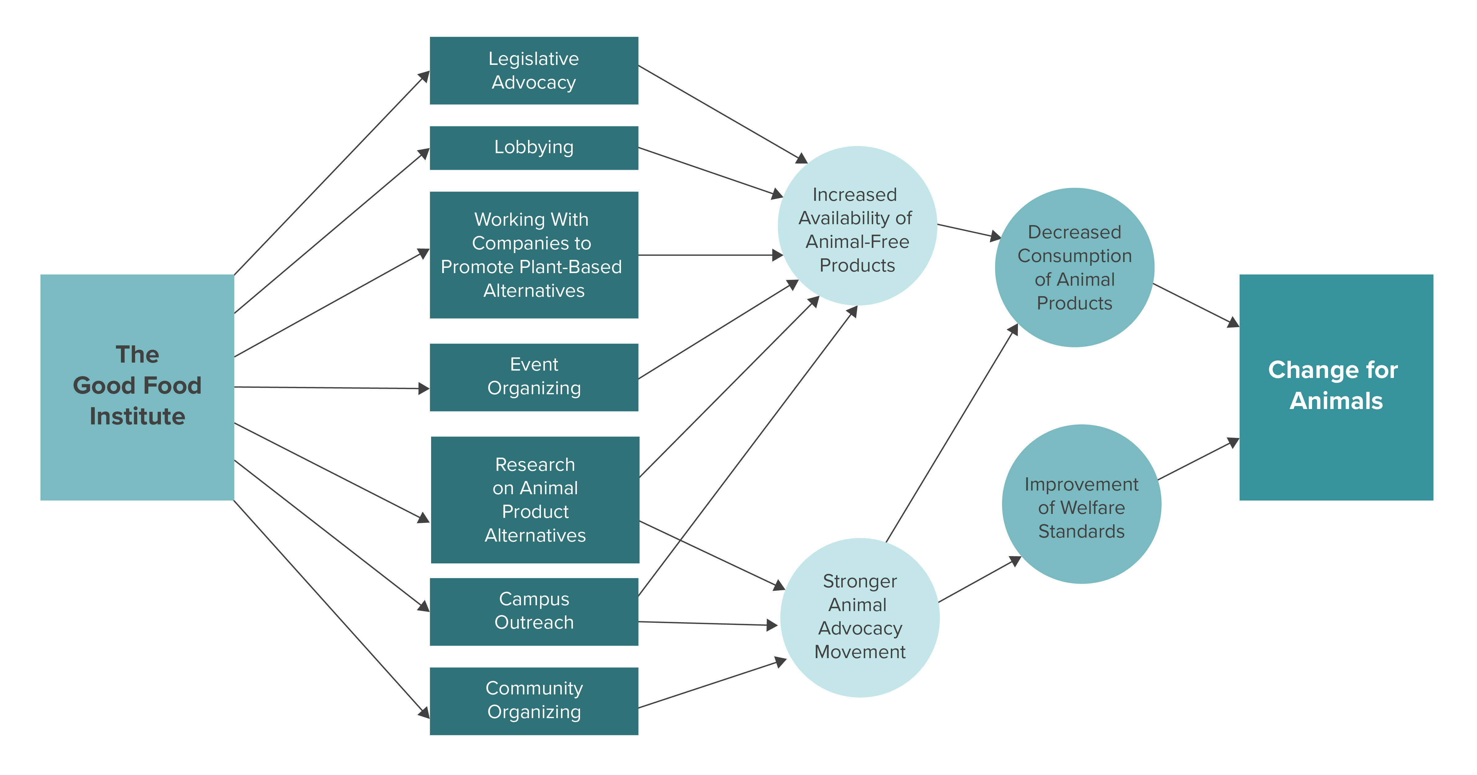 2020 Theory of Change GFI