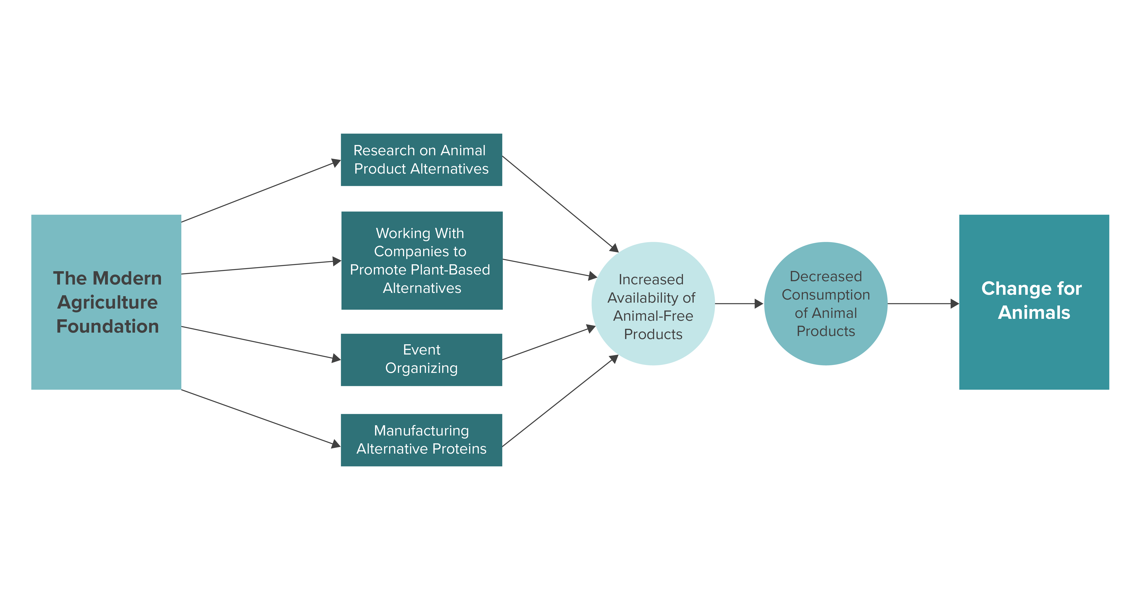 2020 Theory of Change MAF