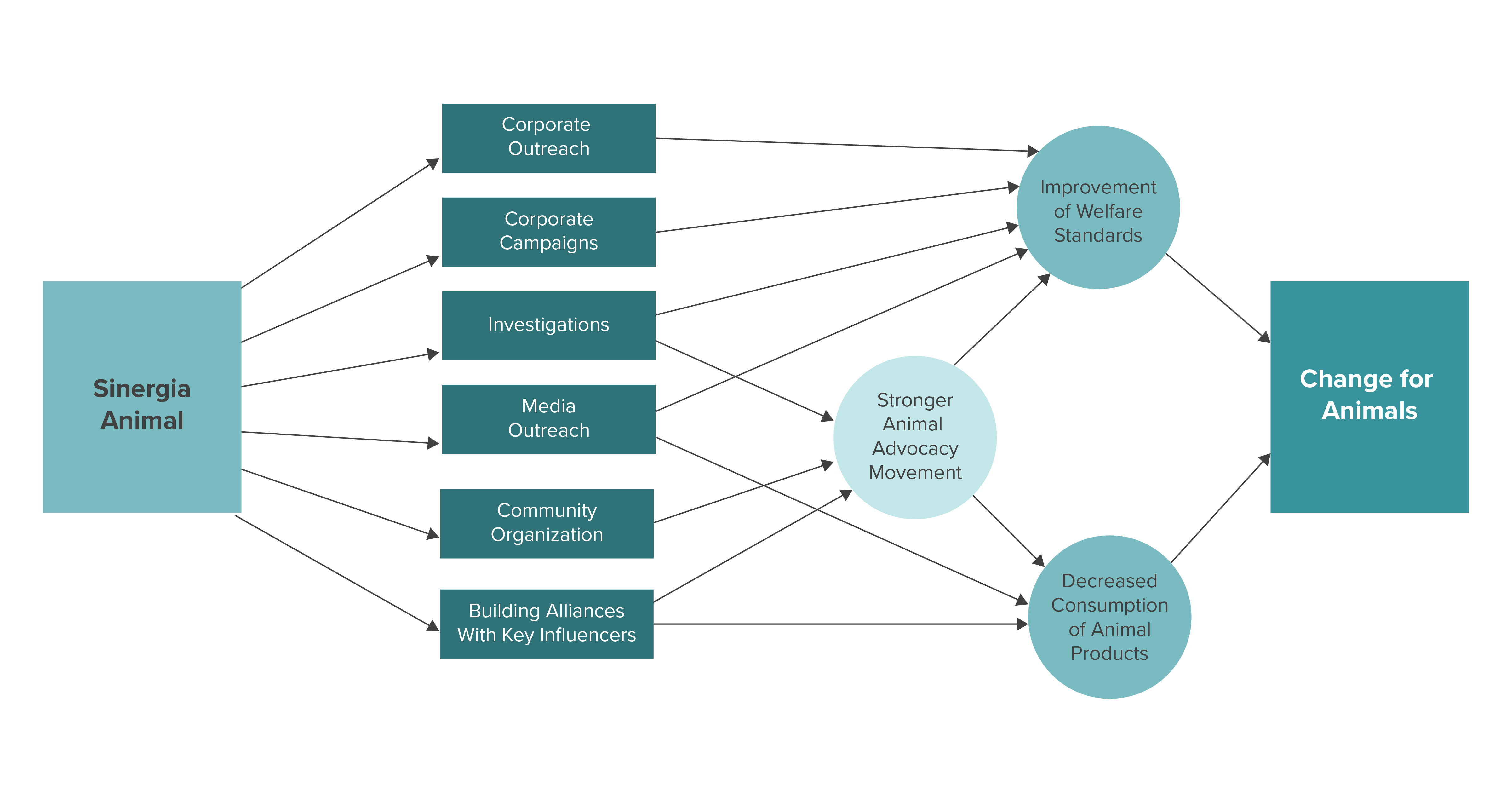 2020 Theory of Change Sinergia