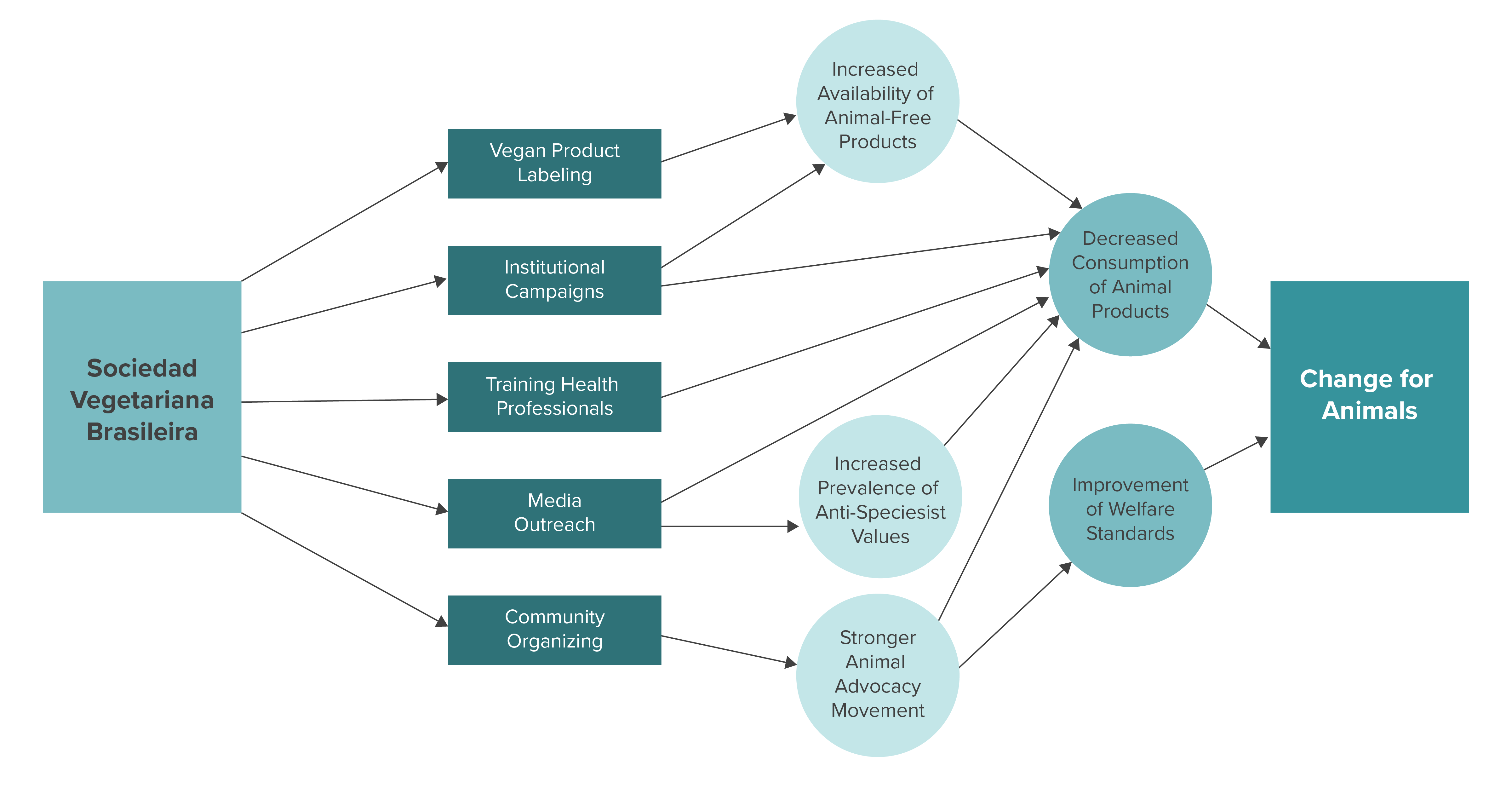 2020 Theory of Change SVB