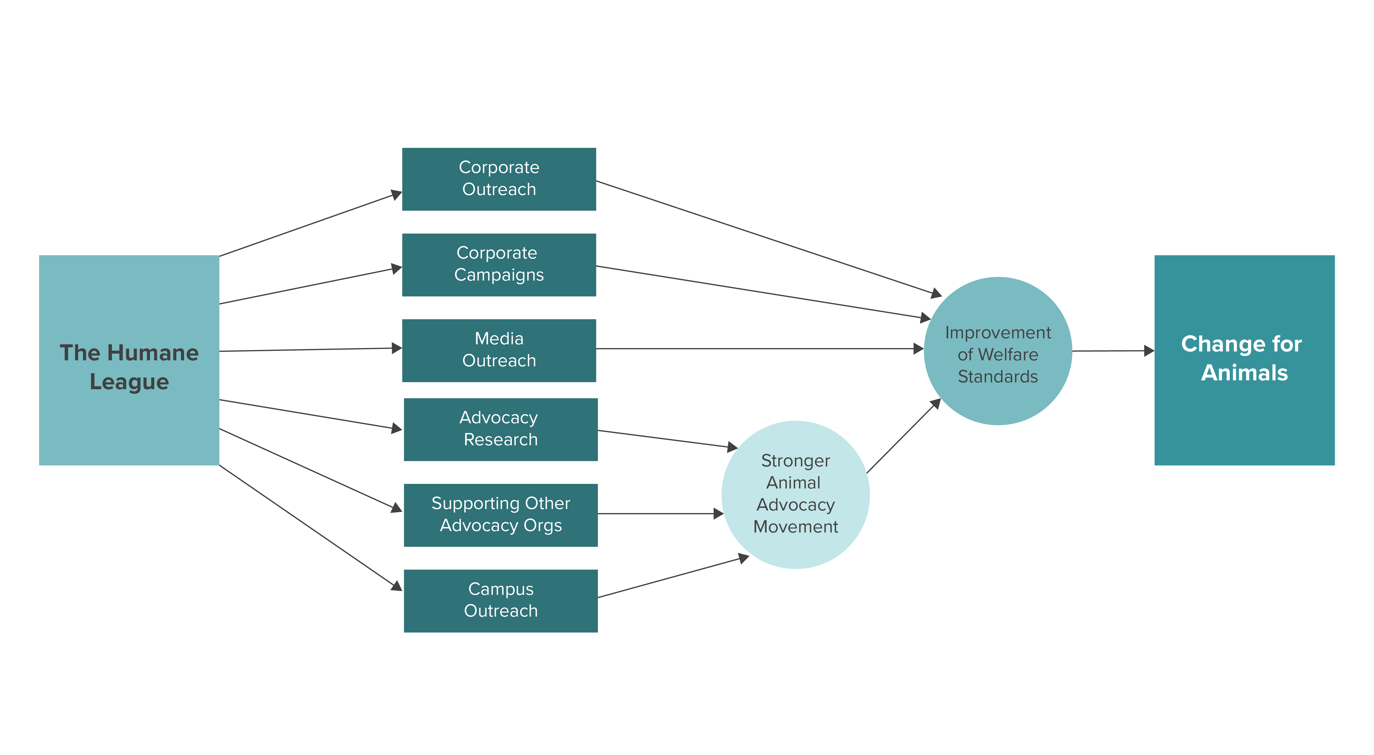 2020 Theory of Change THL