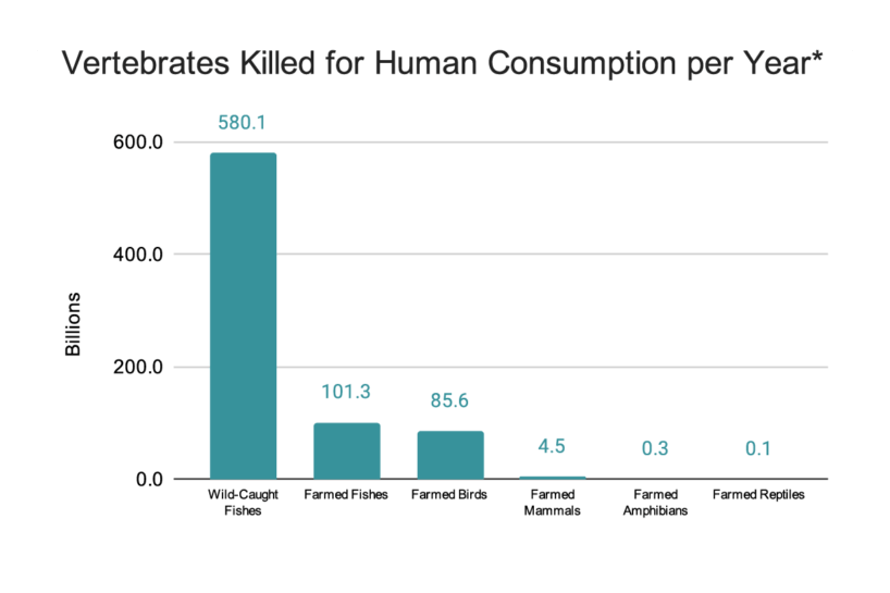 Effects of Diet Choices | Animal Charity Evaluators