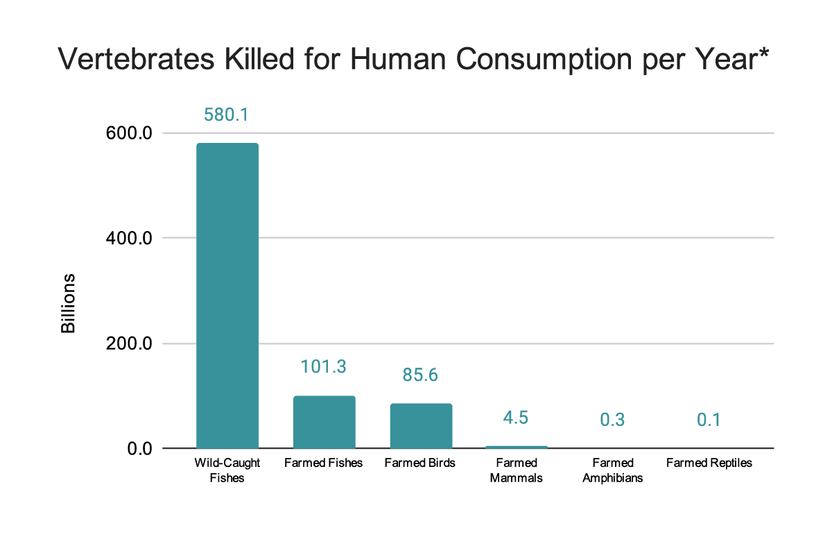 Bar chart of vertebrates killed for human consumption per year