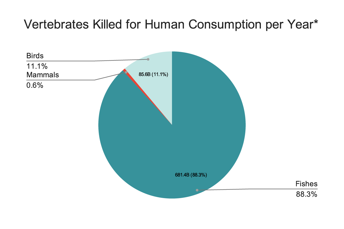 Pic chart of vertebrates killed for human consumption per year