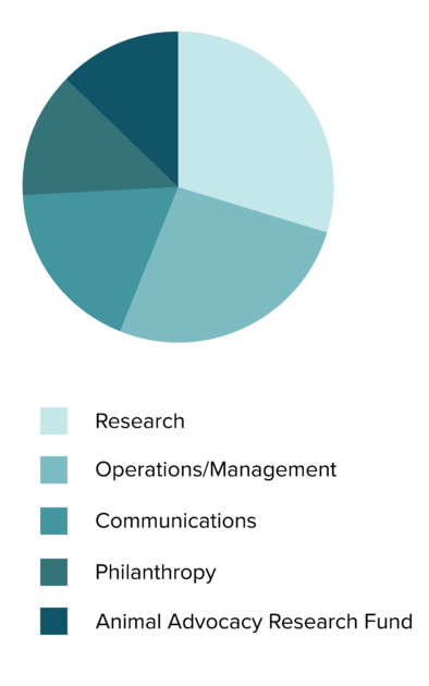 2020 expenses pie chart