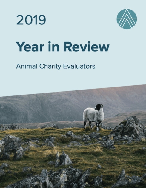 2019 Year in Review