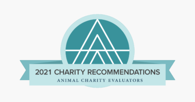 ACE 2021 Recommended Charities