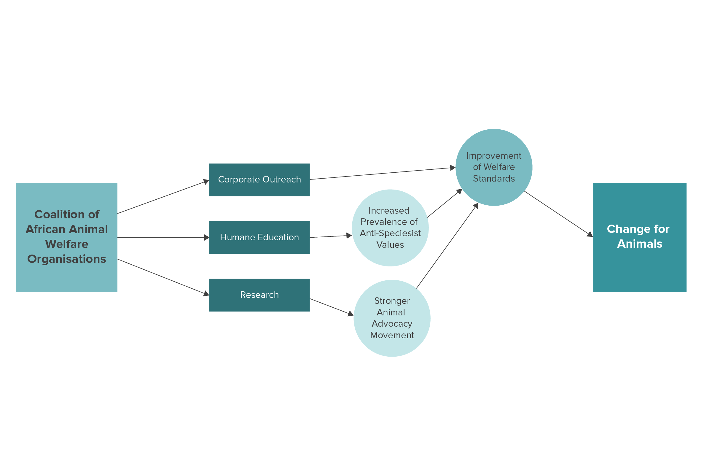 CAAWO Theory of Change 2021