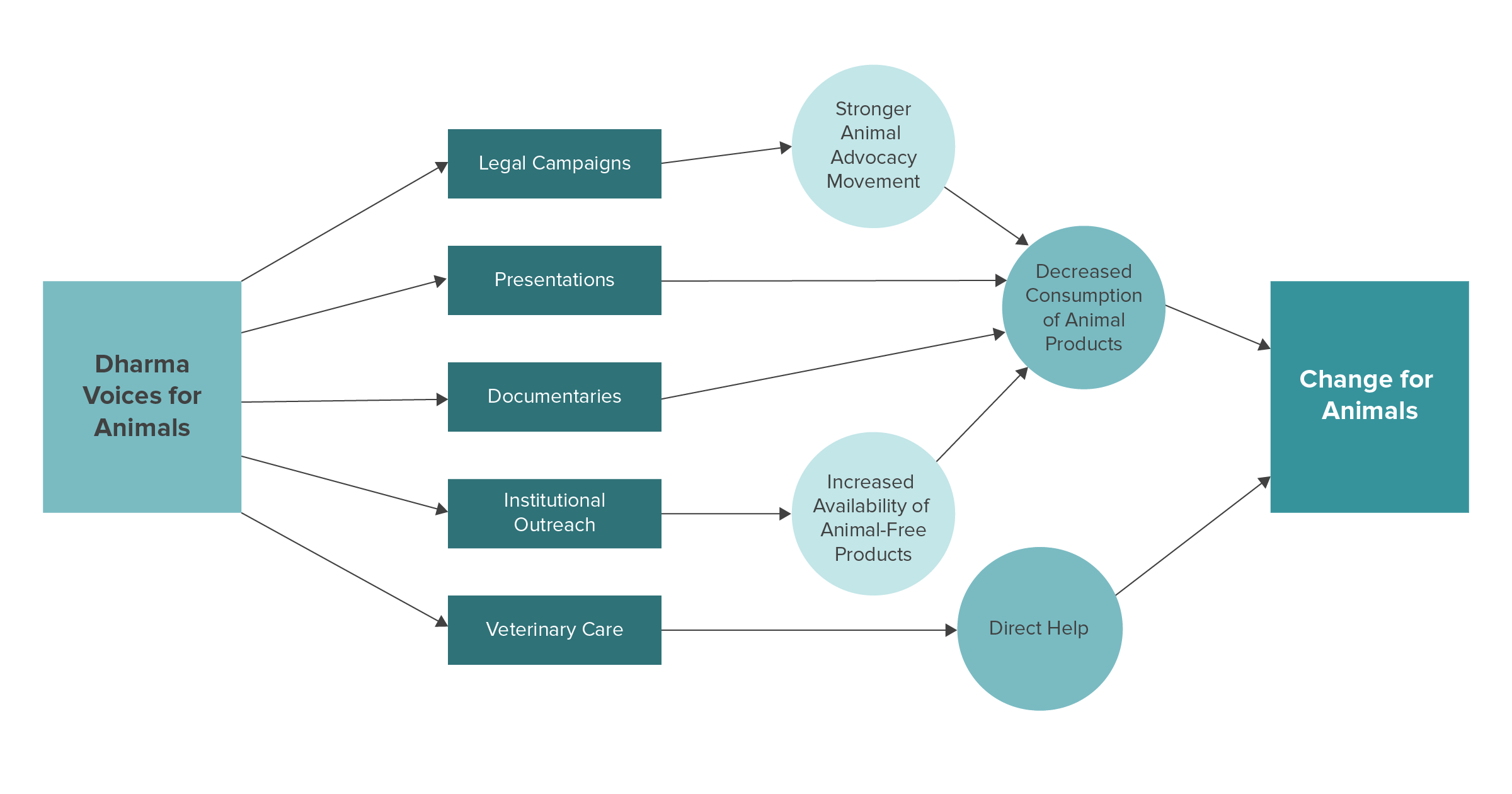 dv4a Theory of Change 2021