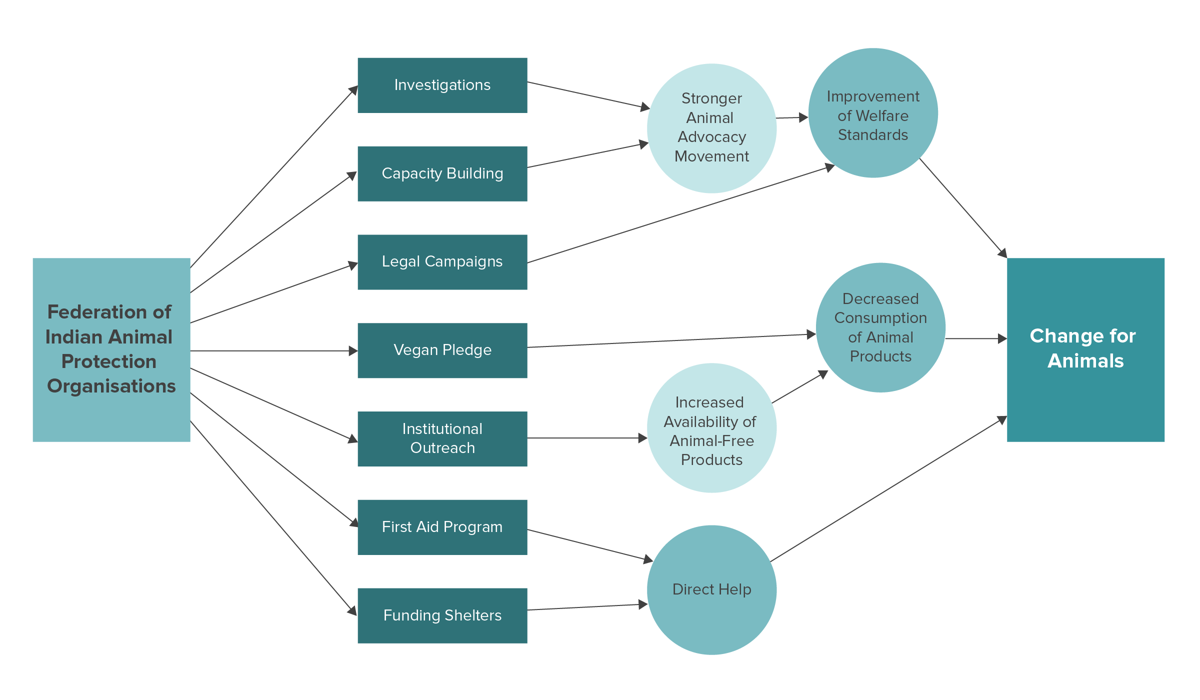 FIAPO Federation of Indian Animal Protection OrganisationsTheory of Change 2021