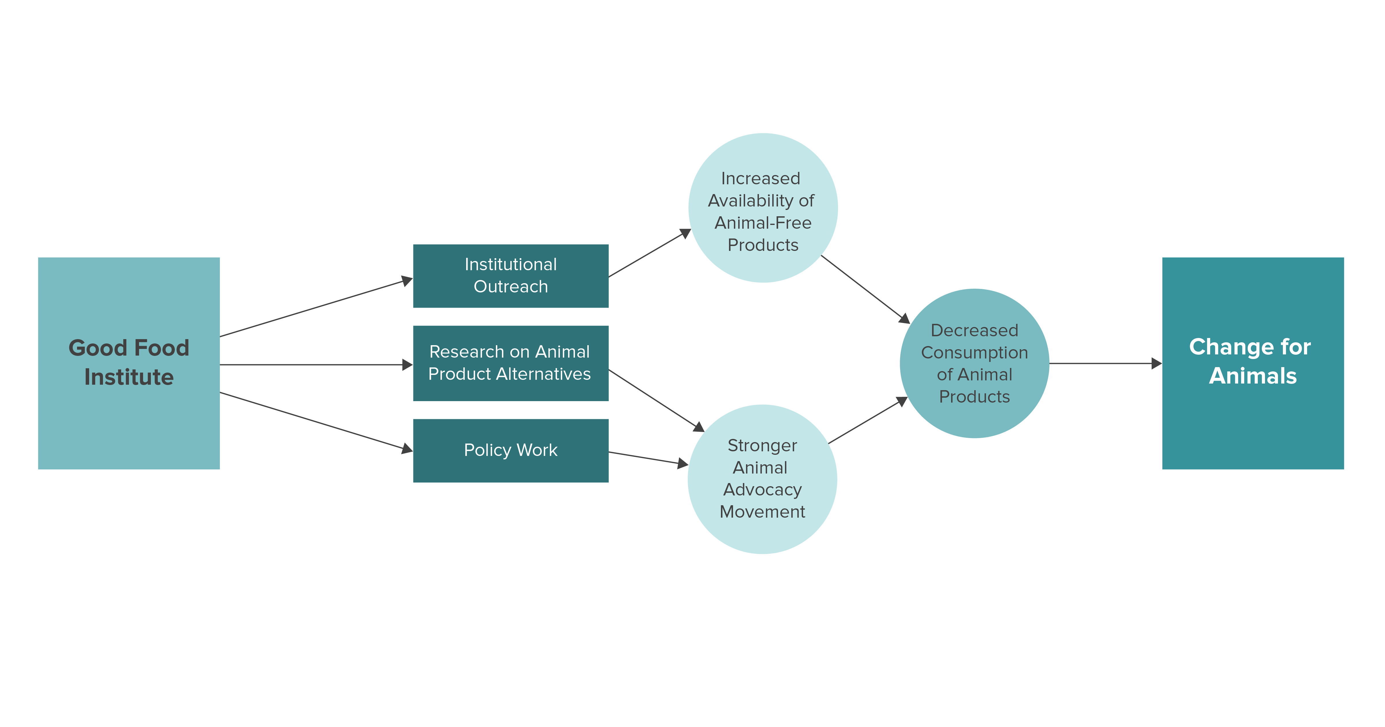 GFI Theory of Change 2021