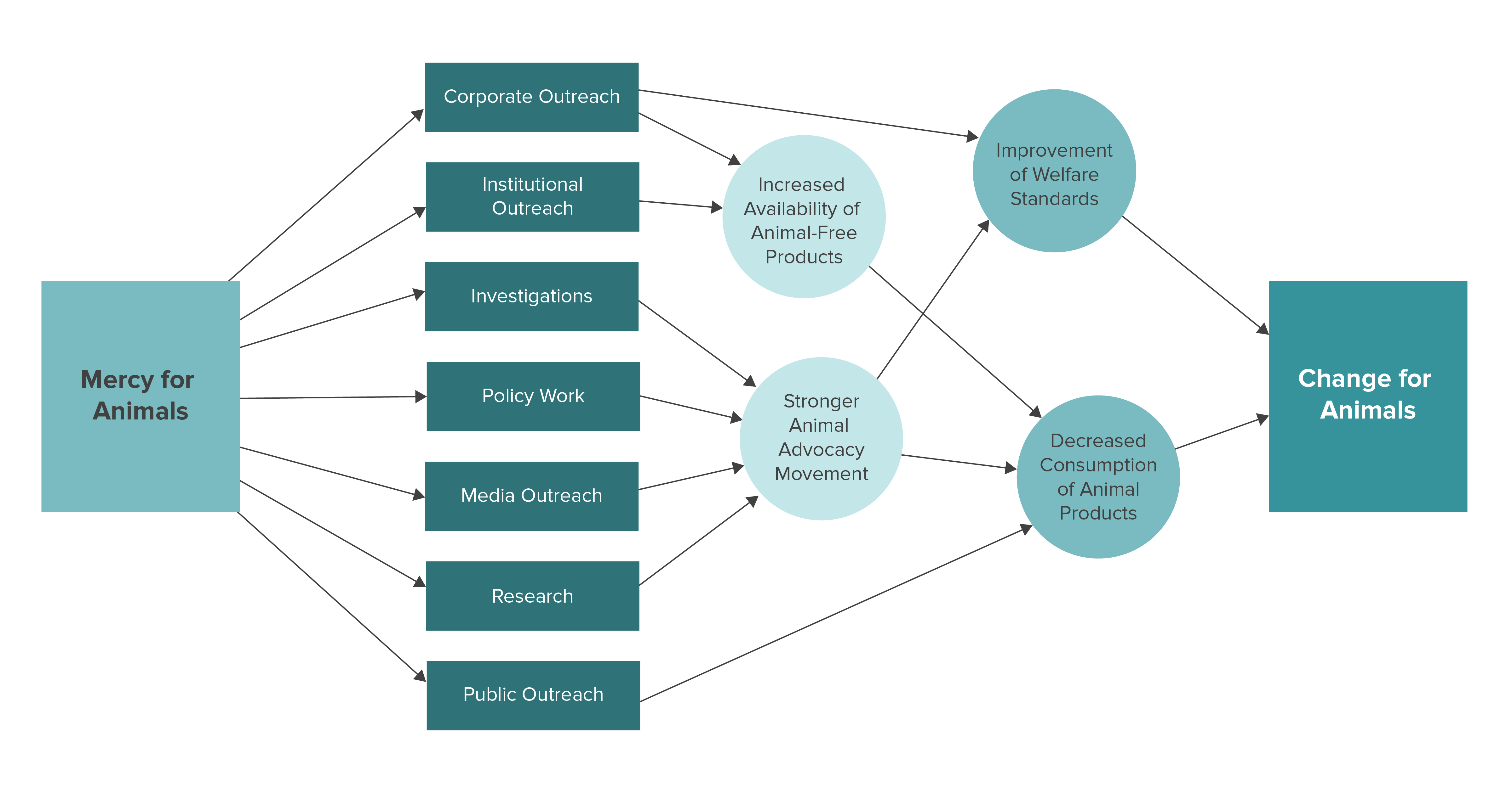 MFA Theory of Change 2021