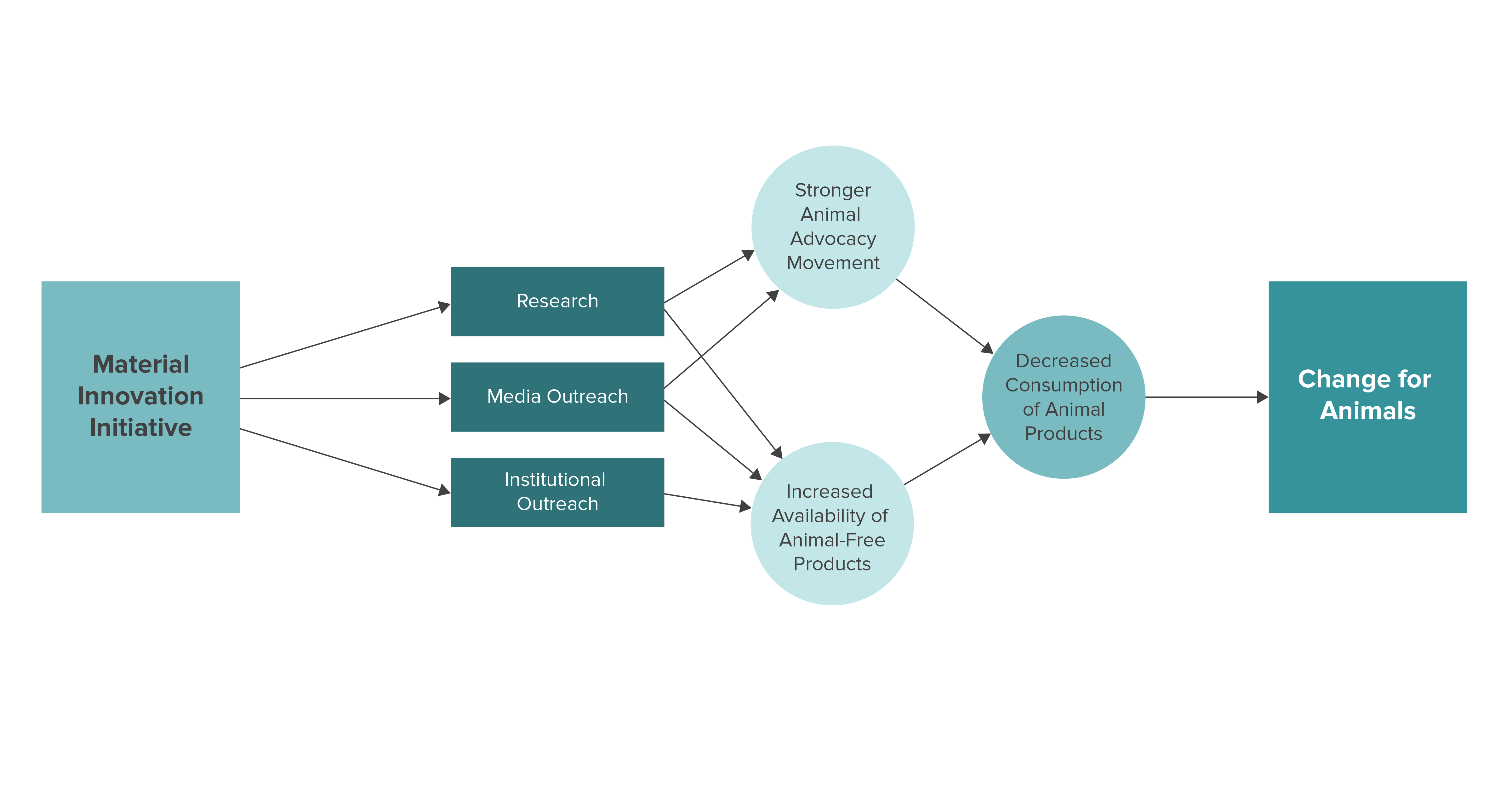 MII Theory of Change 2021