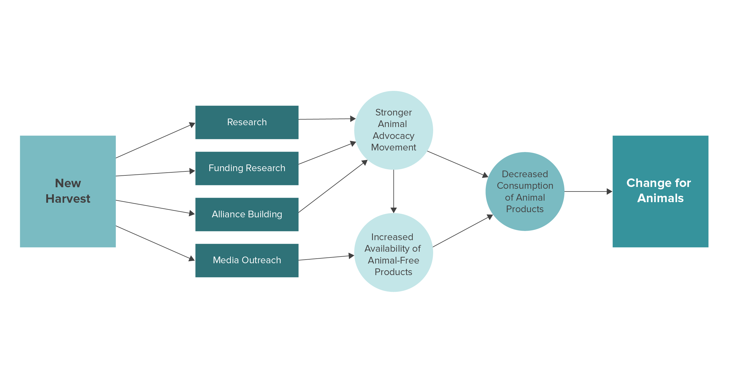 New Harvest Theory of Change 2021