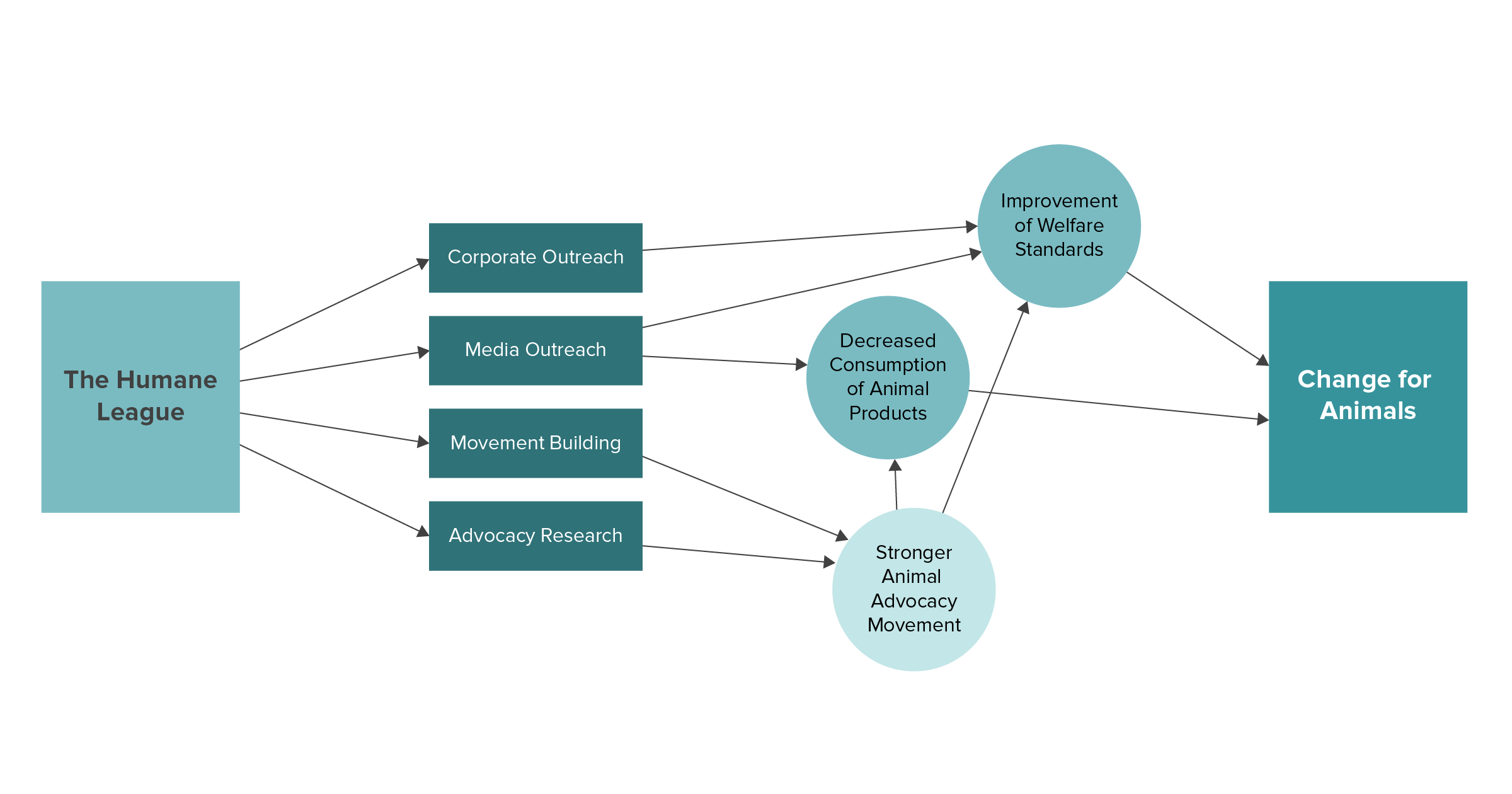 THL Theory of Change 2021