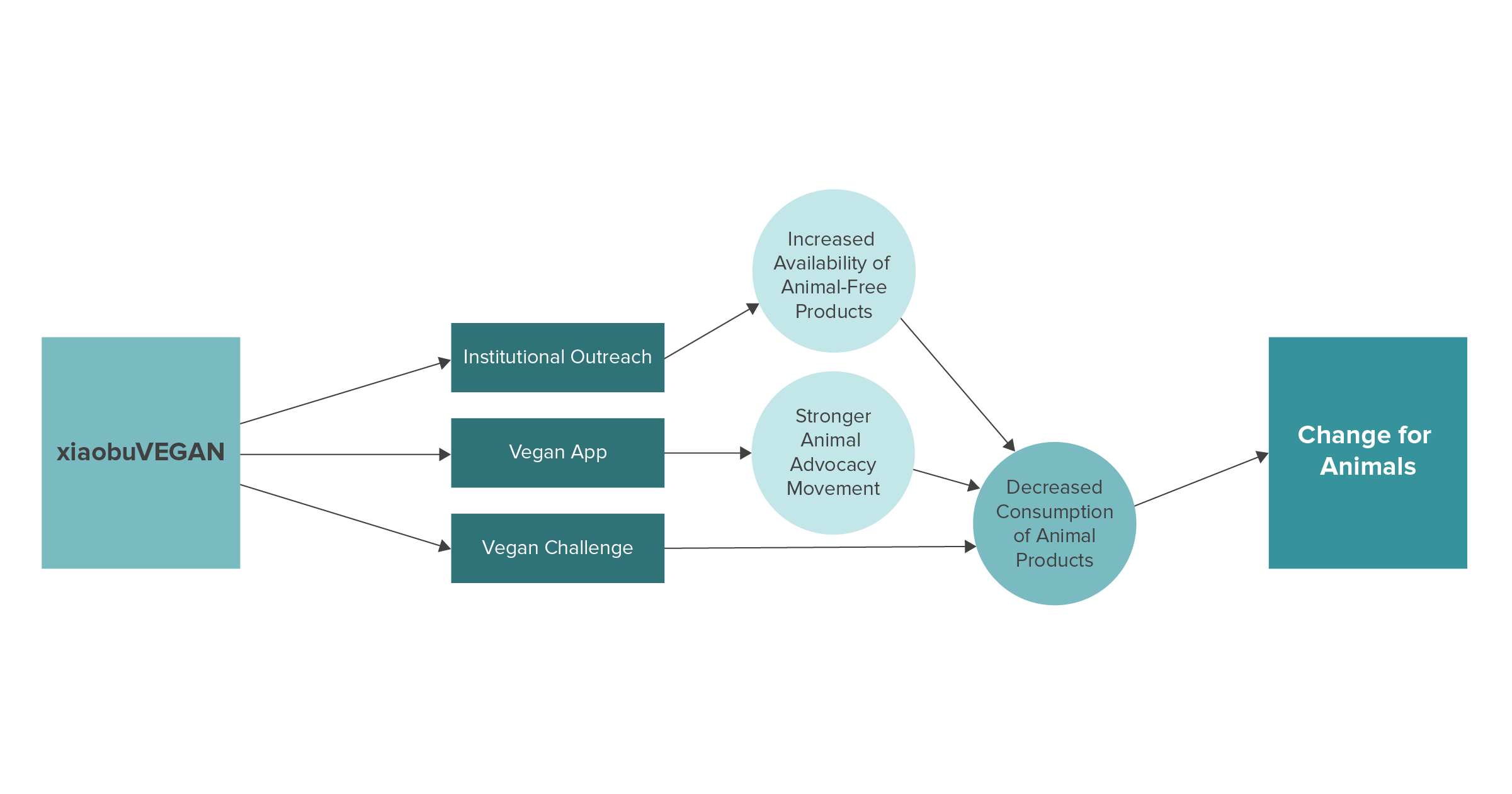 xiaobuVEGAN Theory of Change 2021