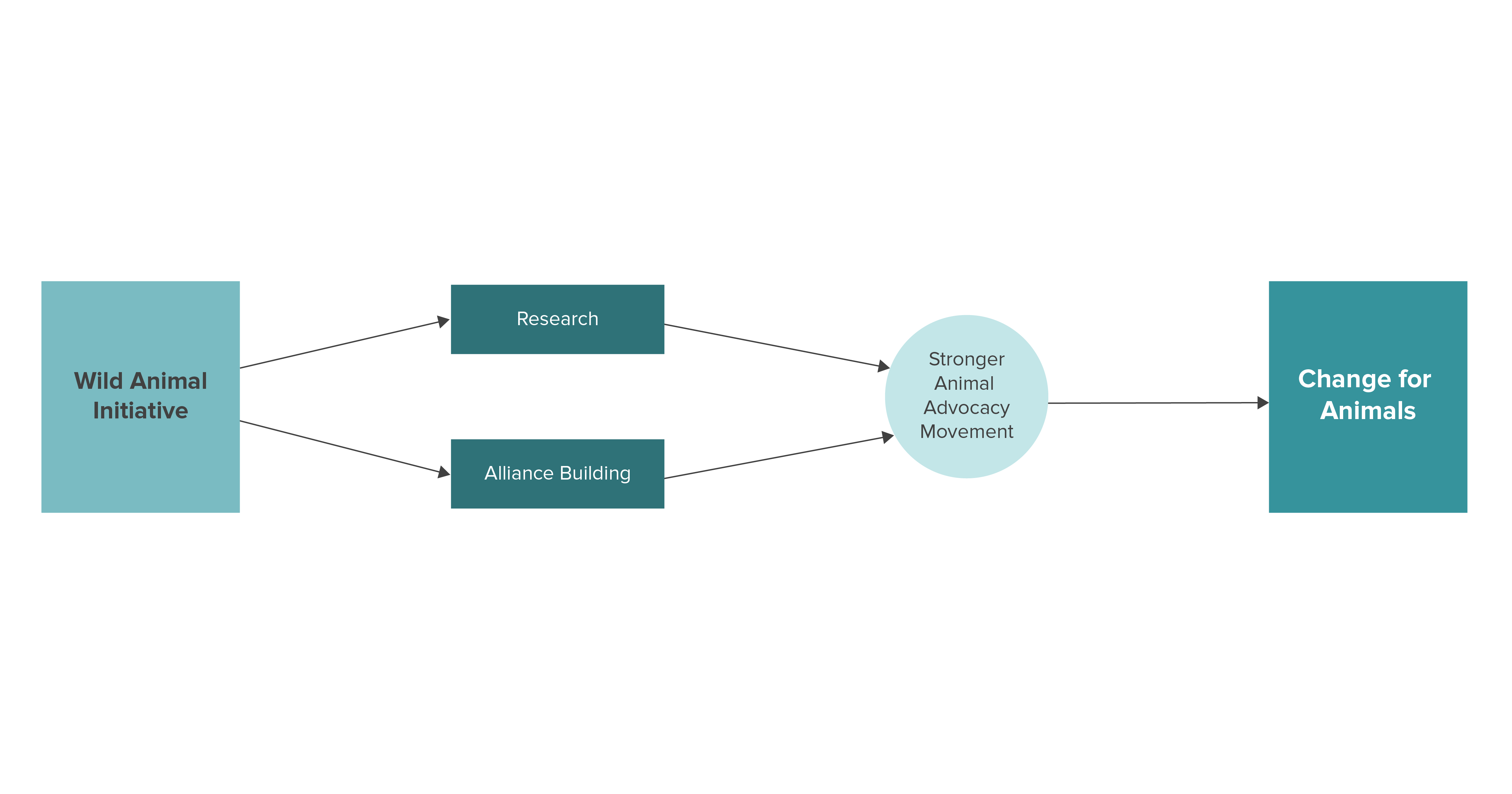 Wild Animal Initiative Theory of Change 2021