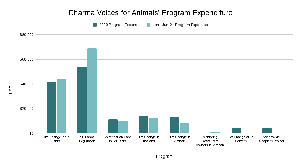 dv4a Program Expenditures 2021