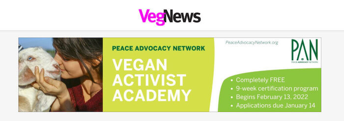 r5 peace advocacy network pan