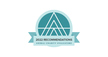 2022 ACE Charity Recommendations Badge