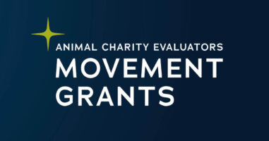 ACE Movement Grants logo