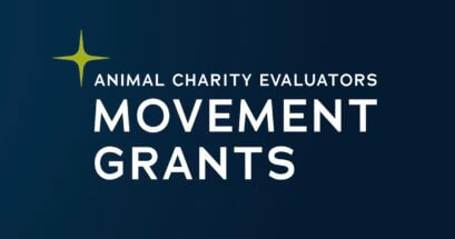 ACE Movement Grants