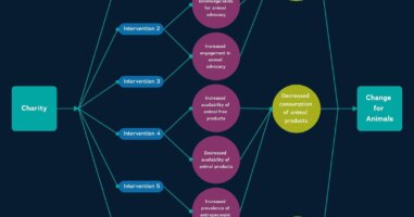 General theory of change diagram