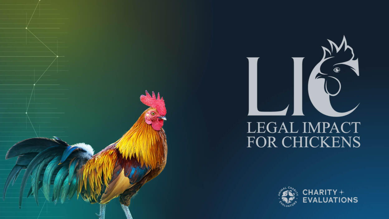 Legal Impact for Chickens campaign page