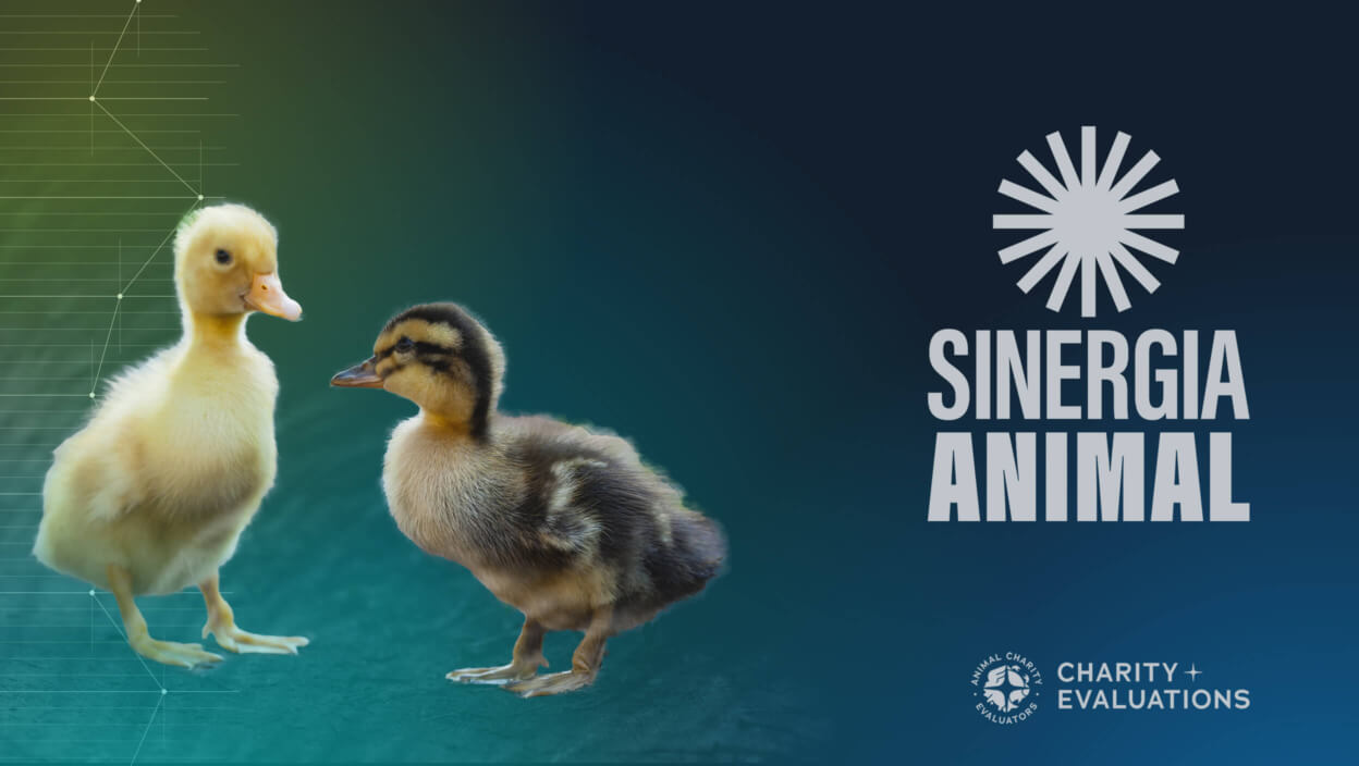 Sinergia Animal Campaign Page